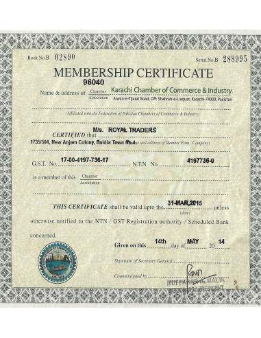 Lampada di Sale rosa USB cm 11 Sale...