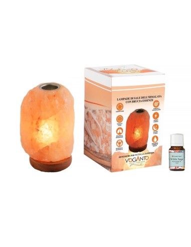 Lampada di Sale Con diffusore di essenze cm...