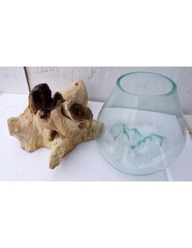 Vaso Indonesiano radice di legno e vetro...