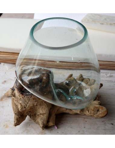 Vaso Indonesiano radice di legno e vetro...