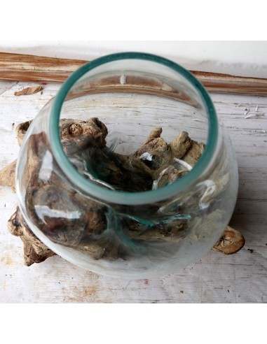 Vaso Indonesiano radice di legno e vetro...