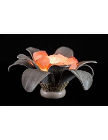 Lampada di sale irripetibile creata in con...