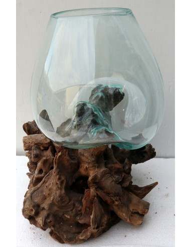 Vaso Indonesiano radice di legno e vetro...