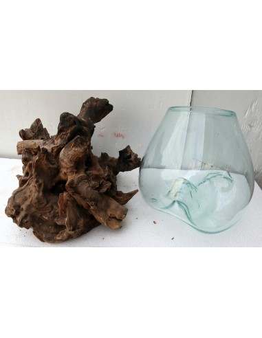 Vaso Indonesiano radice di legno e vetro...