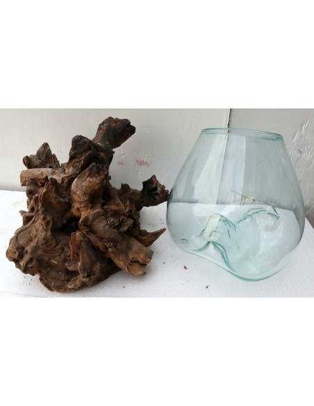 Vaso Indonesiano radice di legno e vetro soffiato 37x28x45h porta fiori acquario AQ