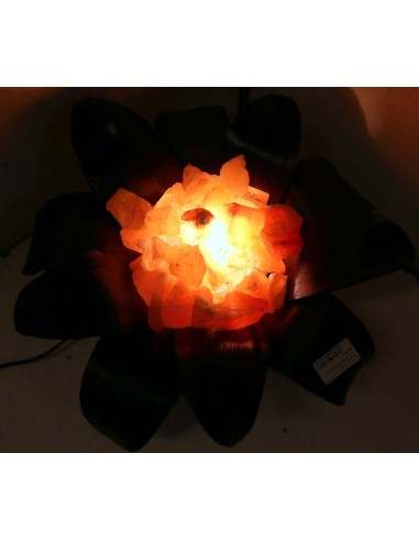 Lampada di sale irripetibile creata in con...