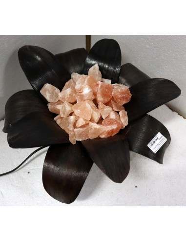 Lampada di sale irripetibile creata in con...