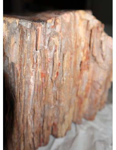 Lavandino in pietra di legno fossile cm...