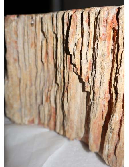 Lavandino in pietra di legno fossile cm 64x42x15 lavabo sink fossili nero marrone