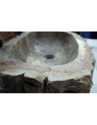 Lavandino in pietra di legno fossile cm...