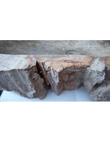 Lavandino in pietra di legno fossile cm...