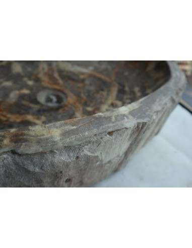 Lavandino in pietra di legno fossile cm...
