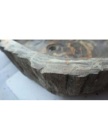 Lavandino in pietra di legno fossile cm...