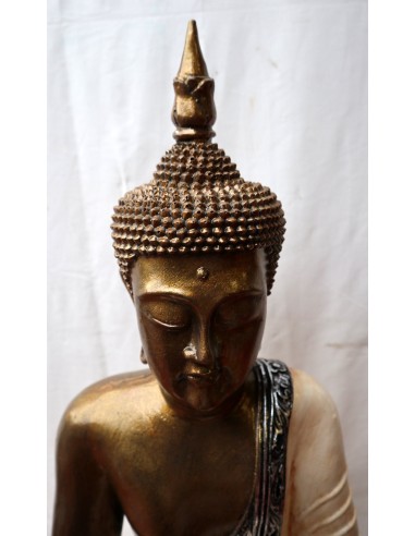 Buddha Thai in resina colorata veste bianca...
