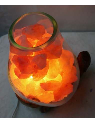 Lampada di sale irripetibile creata in vetro...