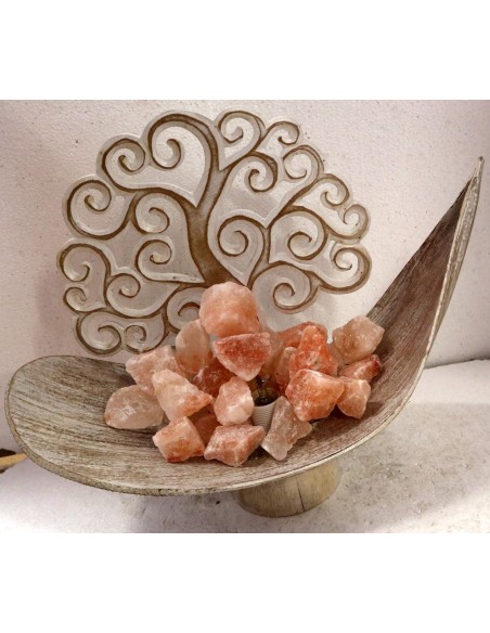 Lampada di sale braciere creato con foglia di cocco "albero della vita" bianca decapata