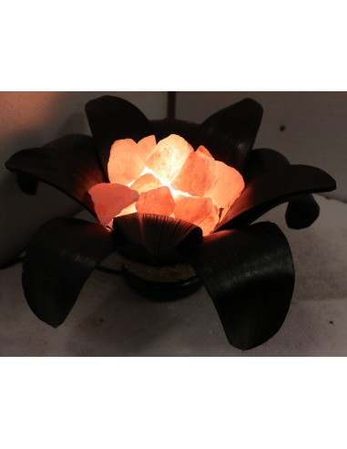 Lampada di sale irripetibile creata in con...