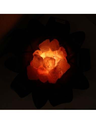 Lampada di sale irripetibile creata in con...