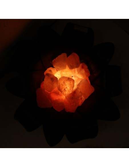 Lampada di sale irripetibile creata in con foglia di cocco a "margherita" nera nero