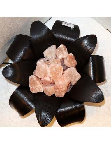 Lampada di sale irripetibile creata in con...