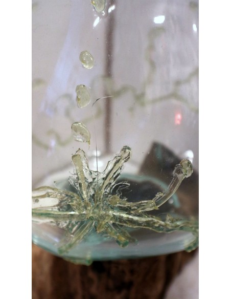 Vaso Indonesiano radice di legno e vetro soffiato 35x25x3h porta fiori acquario decorato