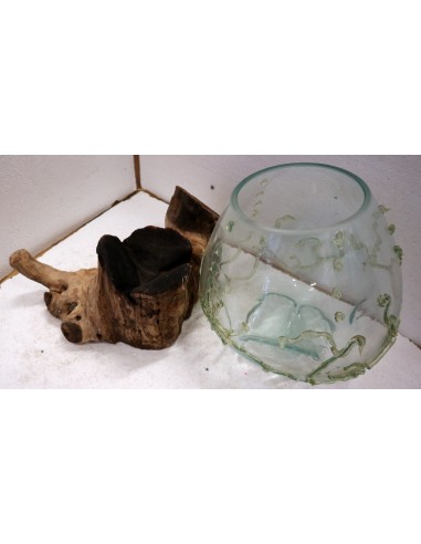 Vaso Indonesiano radice di legno e vetro...
