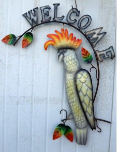 Pannello welcome con un pappagallo Calopsitta in...
