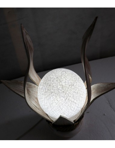 Lampada abatjour in cocco con sfera di cotone...