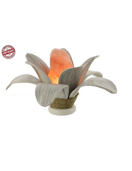 Lampada di sale icreata in con foglia di cocco a "margherita" bianca decapata