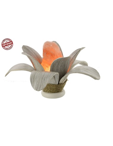 Lampada di sale icreata in con foglia di cocco...