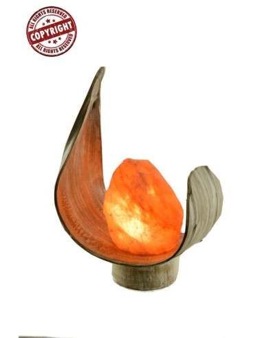 Lampada di sale creata in con foglia di cocco...