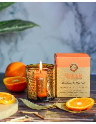 CANDELA ORGANIC LAVANDA IN CERA DI SOIA CON...