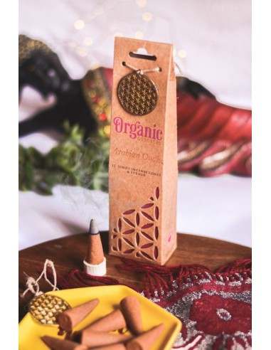 3 CONFEZIONI di INCENSO IN CONI ORGANIC...
