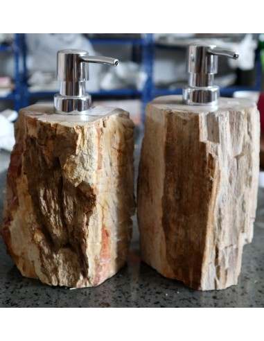 Dispenser in pietra legno fossile fossilizzato...