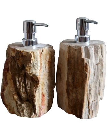Dispenser in pietra legno fossile fossilizzato...