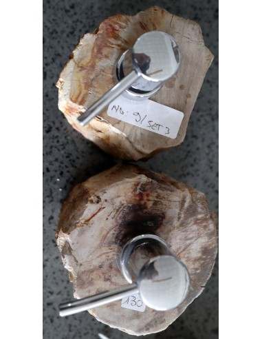 Dispenser in pietra legno fossile fossilizzato...