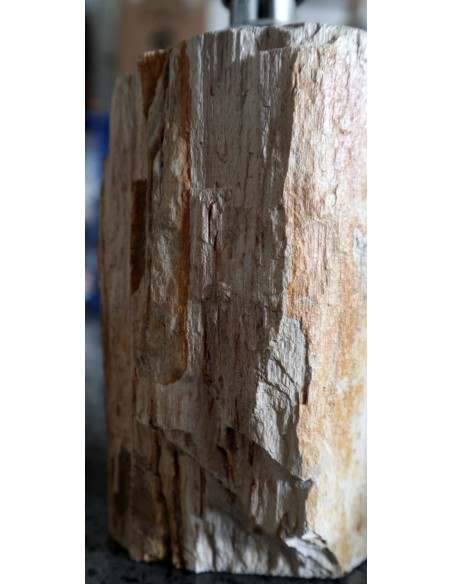 Dispenser in pietra legno fossile fossilizzato cm 10x9x20 arredo bagno accessorio