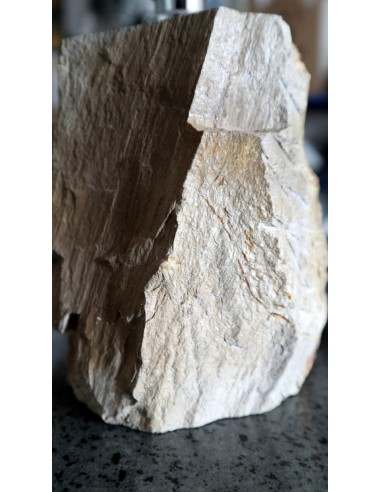 Dispenser in pietra legno fossile fossilizzato...