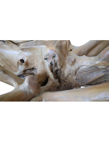 Base Tavolo da Pranzo in Radice di Teak...