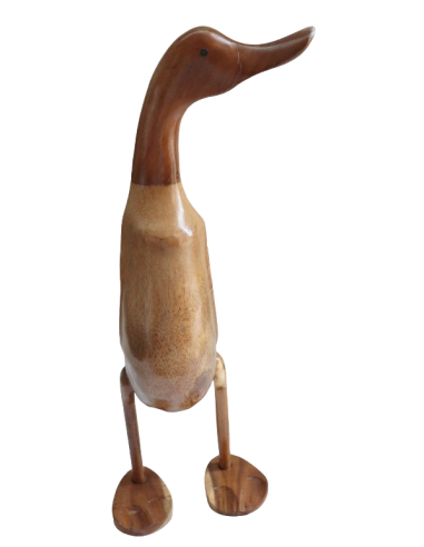 Papera Oca in Legno di Teak e Cocco Fatta a...