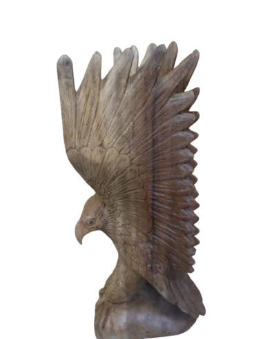 Scultura Aquila in Legno di Suar 50 cm –...
