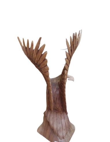 Scultura Aquila in Legno di Suar 52 cm –...