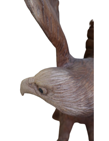 Scultura Aquila in Legno di Suar 52 cm –...
