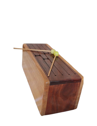 Tongue Drum in Legno Australiano cm 50x19x20h –...