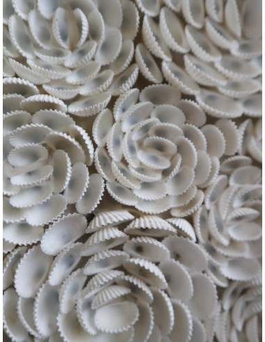 Specchio rotondo in conchiglie naturali Ø100 cm...