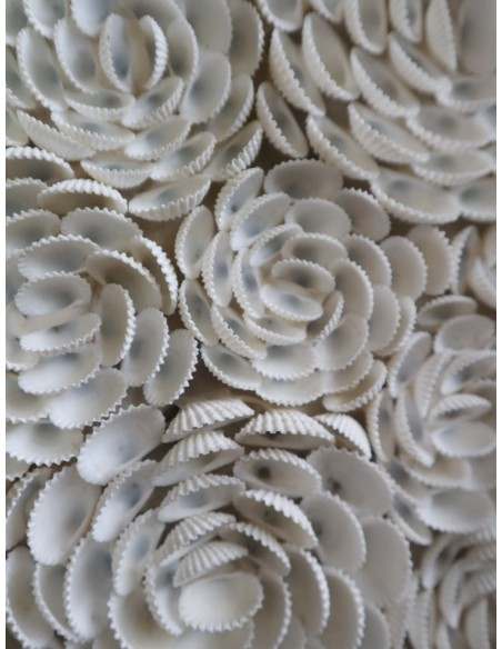 Specchio rotondo in conchiglie naturali Ø100 cm – Eleganza marina per i tuoi ambienti