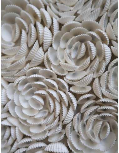 Specchio rotondo in conchiglie naturali Ø100 cm...