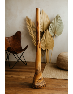 Didgeridoo in Eucalipto 150 cm tipo Australiano...