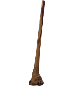 Didgeridoo in Eucalipto 150 cm tipo Australiano... 2