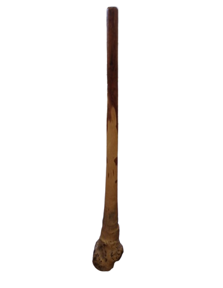 Didgeridoo in Eucalipto 150 cm tipo Australiano Artigianato Bali Fatto a Mano, Suono Autentico